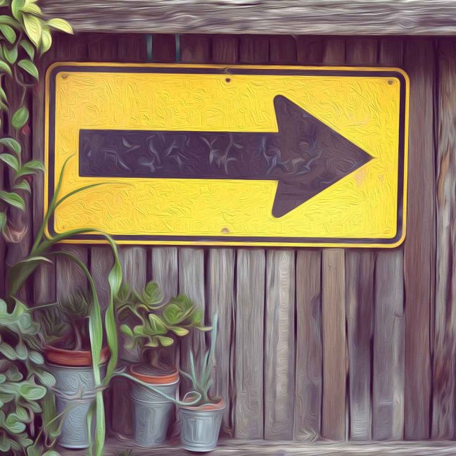 A yellow sign with a black arrow points to the right. It is hung on a wooden fence, with three plants of variable height in the forefront